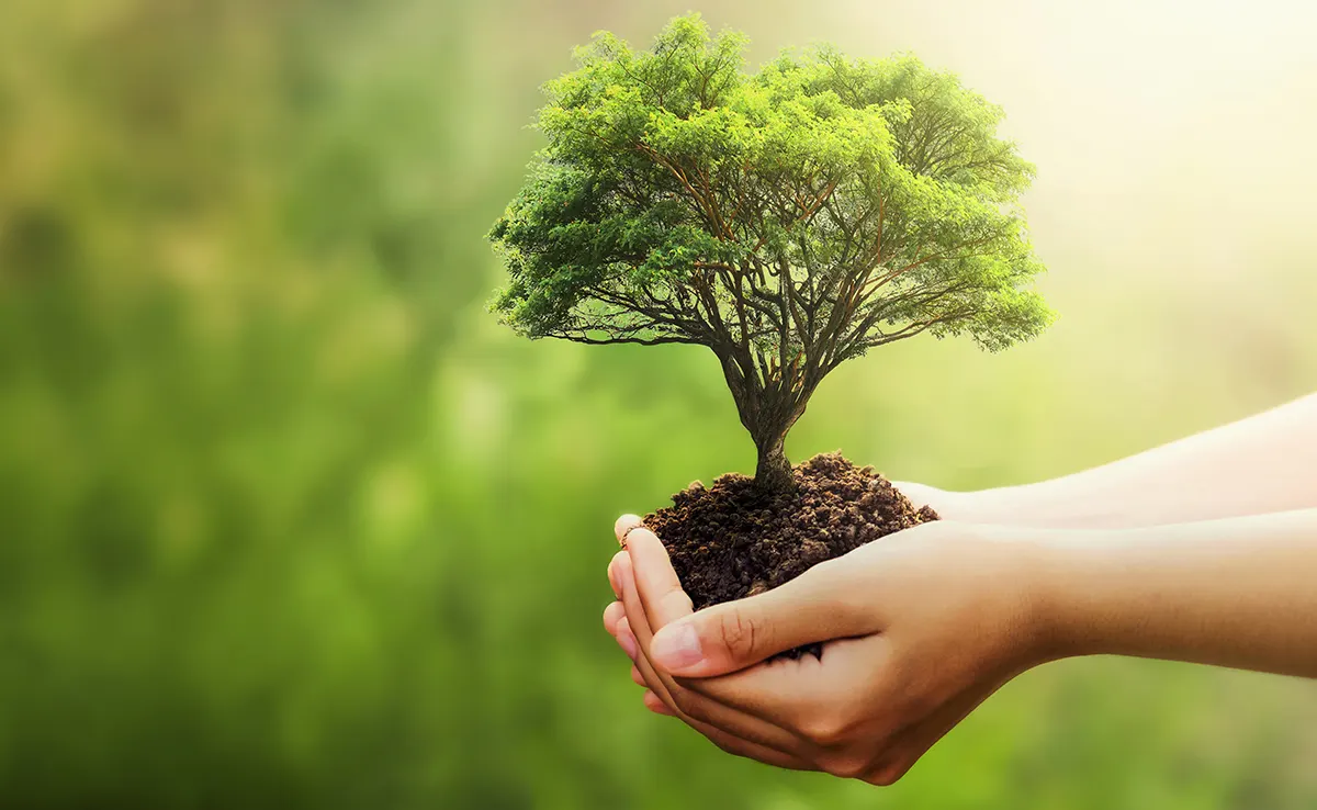 ecobonus